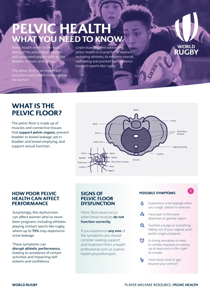 Pelvic Health – What You Need To Know
